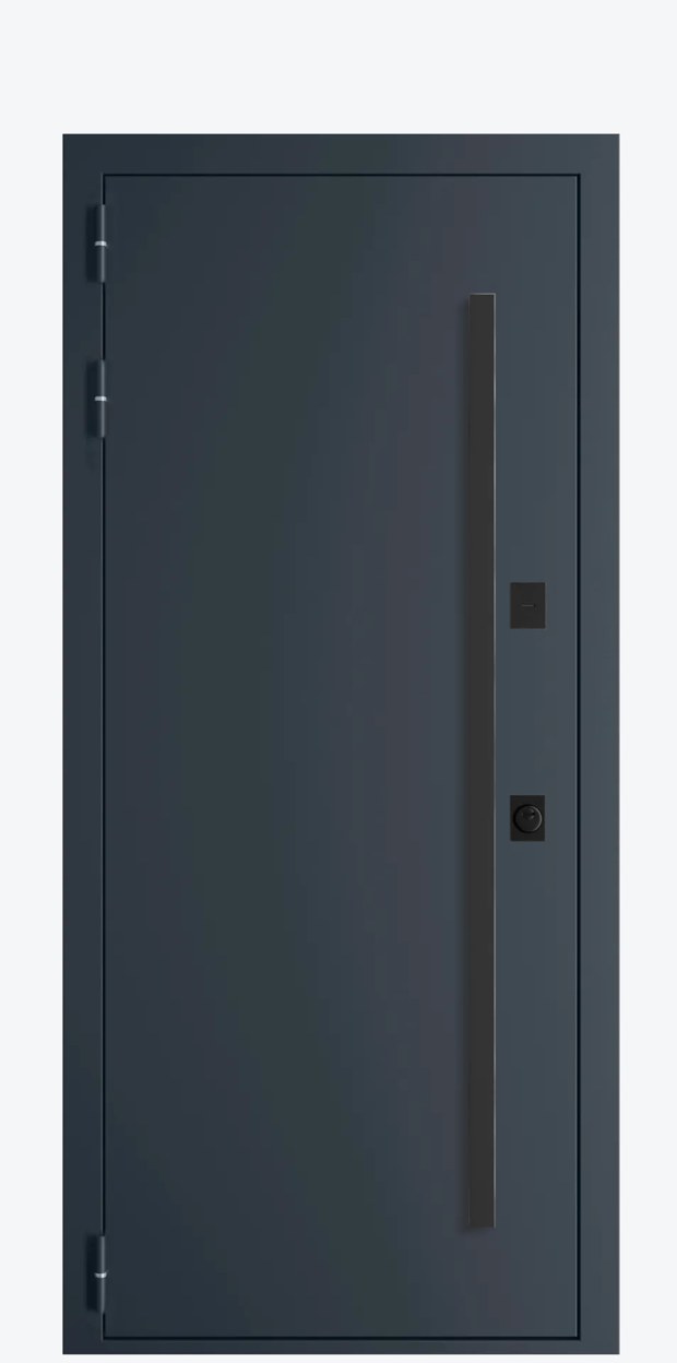 Стальная 12/6 СН akzonobel 7024 — 980×2070 мм, правая