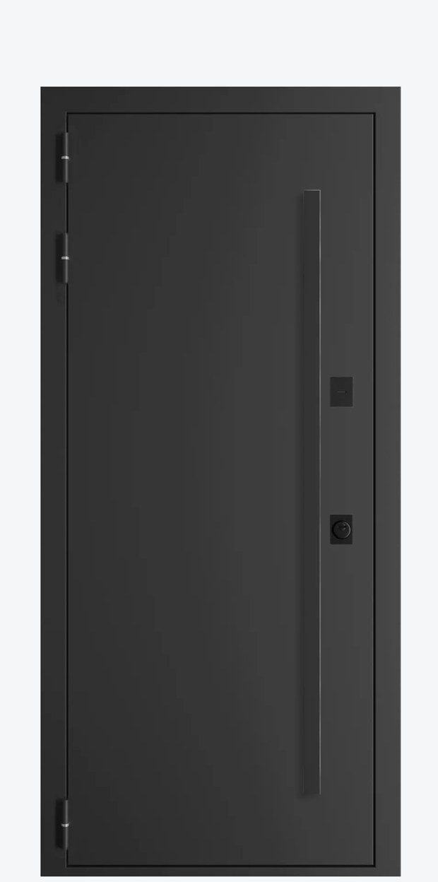 Стальная 18СН черный муар — 860×2050 мм, правая